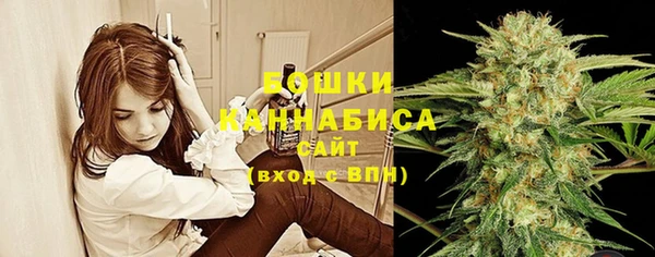 МДПВ Нягань